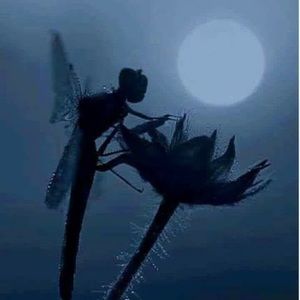 Meet your Posher, Kat